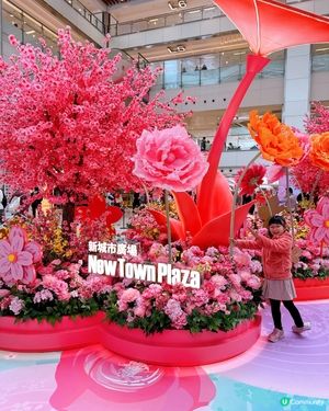 花海結緣新城市🌸桃花牡丹迎新春！💖