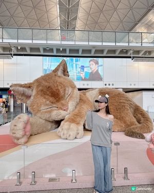 香港機場——旅途上的「喵」 