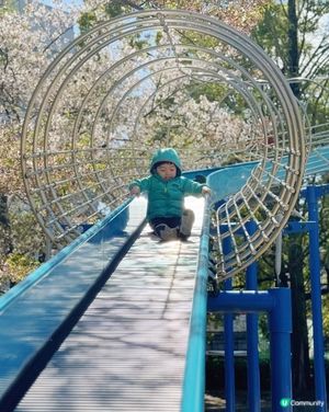 🌸 大阪櫻花公園遊樂場，粉紅浪漫滿瀉！