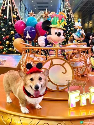 聖誕打卡好去處：海港城·1881