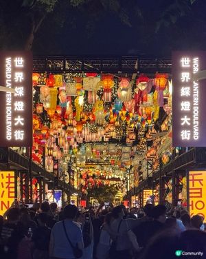 今年必去的維園國際燈匯🏮太漂亮了😍