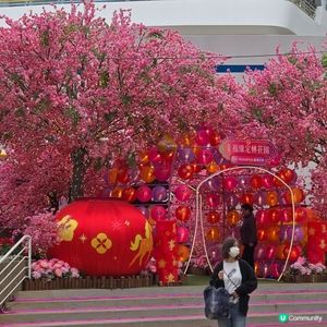 黃埔花園新春裝置