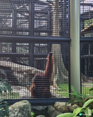 香港動植物公園🌿等你嚟探險！🌳