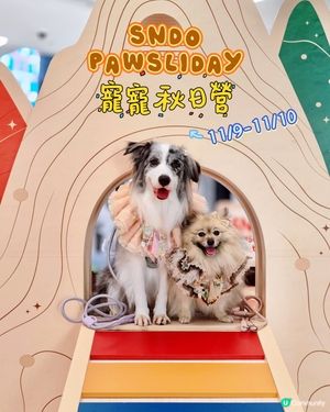 SNDO Pawsliday|寵寵秋日營 🐾🍂