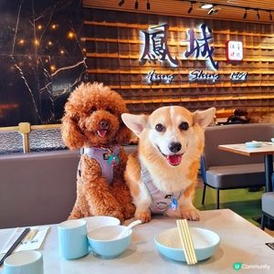 飲茶點心大滿足😋