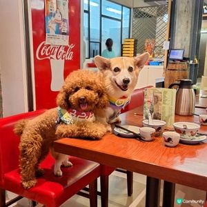 ## 媽咪愛上點天下🤤  
## 點心控必試😋