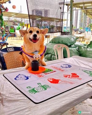 🔥任食任飲，無時限！🔥