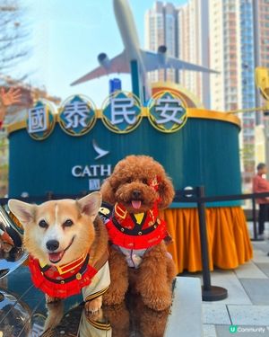 啟德體育園好運嚟啦！🤩💸