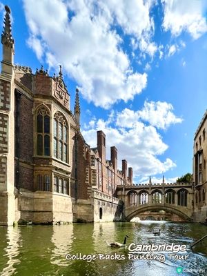 『英國』劍橋撐船仔遊康河🚣‍♀️｜水面視覺慢遊College