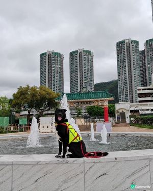 復活節彭福公園行🐰☁️🌧️