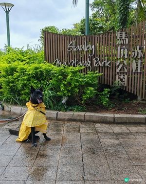馬坑公園探秘！🚶‍♀️🏖️✨