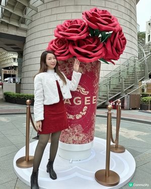 白色情人節約➕毛孩新天地