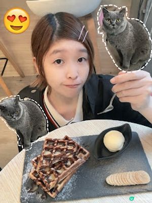 ‼️尖沙咀🐱🐱貓店長x2出沒注意😍