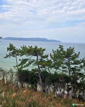 


日本好去處 UCreator 日本櫻花 旅行打卡 旅行