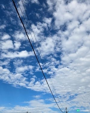 


日本好去處 UCreator 日本櫻花 旅行打卡 旅行