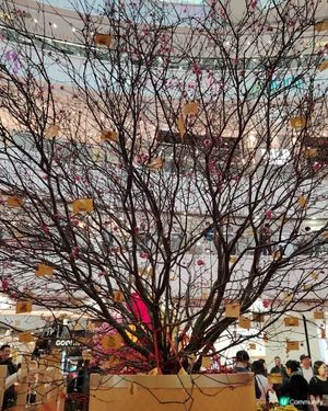 情人節節目推介