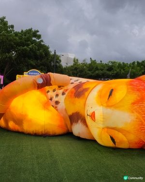 夢遊喵境