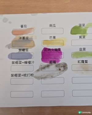 超療癒！用蔬菜生果畫畫？🎨🥦🍅