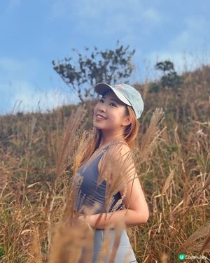 芒草滿開大東山🌾