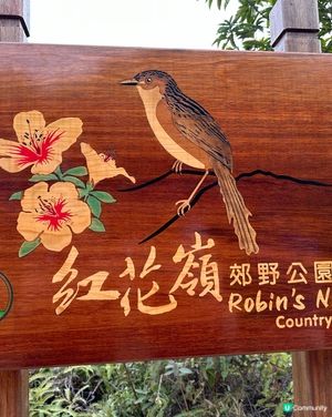 郊遊@紅花嶺郊野公園