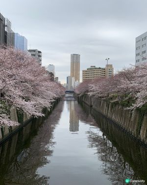 目黑川
