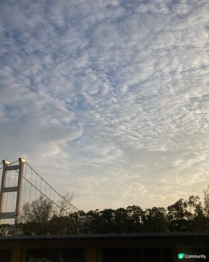 青馬大橋，夕陽無限好🌅