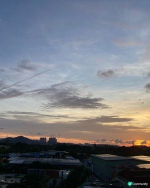 字體文化的發展在香港