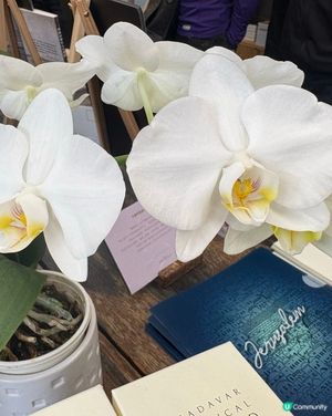 中環, 因為這裏有好多小食街,行去上環更多又便宜又好吃的美食