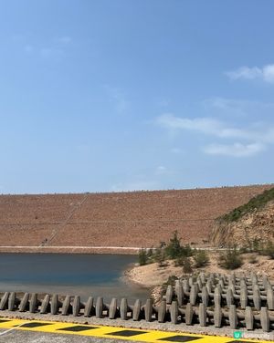 東霸包車好威風 🤩💳