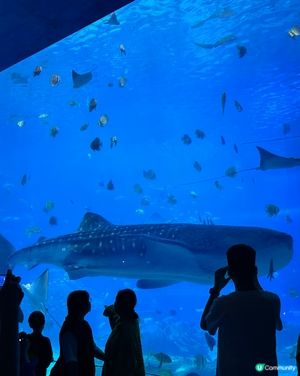 旅行緊係同屋企人去啦！