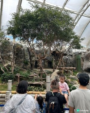 ☔ 黎緊海洋公園！🐼💖