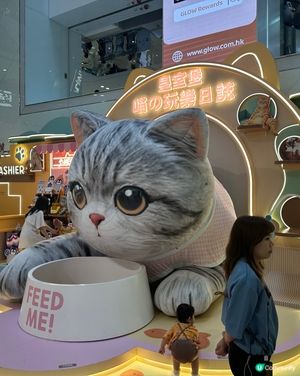 貓奴天堂！🤩🐾