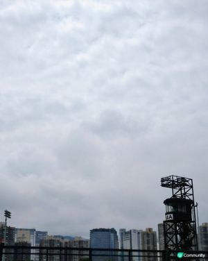 小朋友彭福公園放電🐎馬場出遊