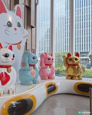 走走茶🍃 city walk 拍靚照🚶‍♀️