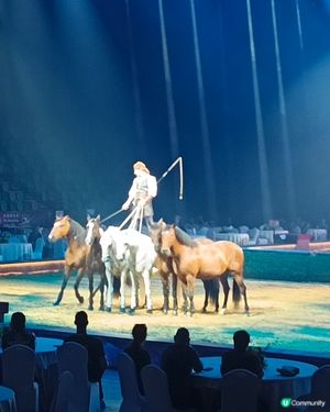 CAVALLUNA - 馬術X劇場 穿梭異境