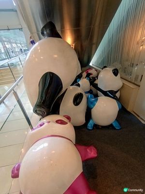 熊貓🐼變醉貓🍻⁉️