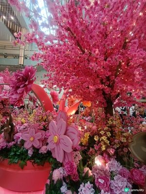 花開結緣風生水起！🌷✨