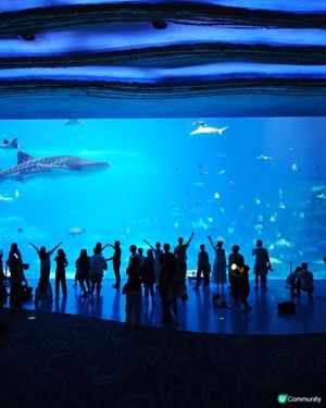 珠海長隆親子遊 👶🏻✈️  
一家大細玩轉室內樂園！