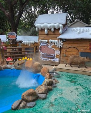 世界之窗入面個動物園