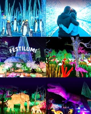 香港光影樂園嚟啦！Festilumi 沉浸式光影樂園✨️