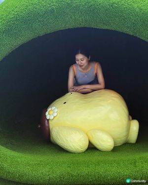 打卡布丁狗三十歲生日 還有好多打卡點