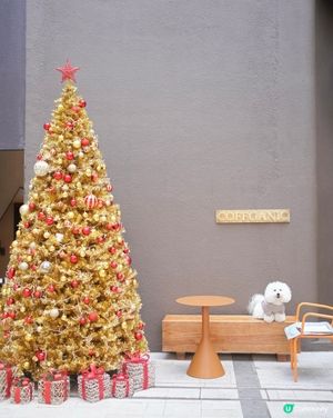 合和商場新店開張，環境狗狗友善又開揚