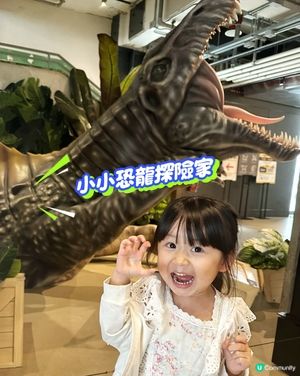 小小恐龍探險家🦖🦕🔍