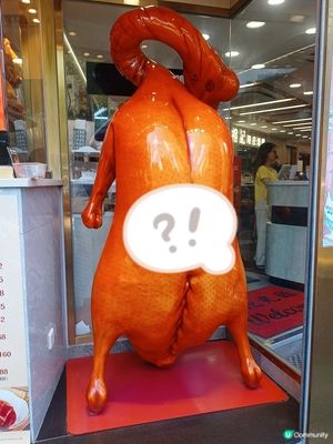 邊度有咁大隻燒鵝？