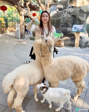 聖誕去深圳親親大自然！