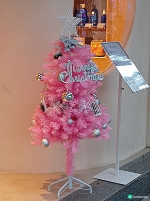 浪漫粉紅聖誕樹🎄