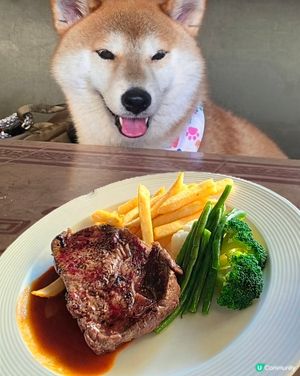 人寵共融！Spiaggia's 與毛孩的 Chill 爆午餐