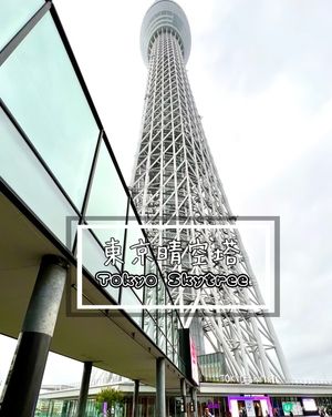 『日本』東京晴空塔｜不只欣賞壯觀景色。由上到下食買玩