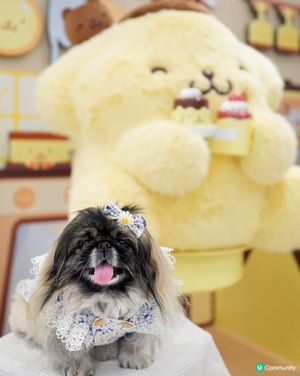布丁狗食蛋糕

自己蛋糕自己整 沙田新城市廣場