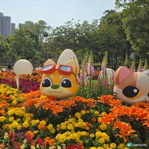 天水圍公園賞花去 🌸🌼